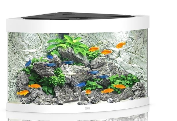 JUWEL AQUARIUM TRIGON 190 LED div. kleuren